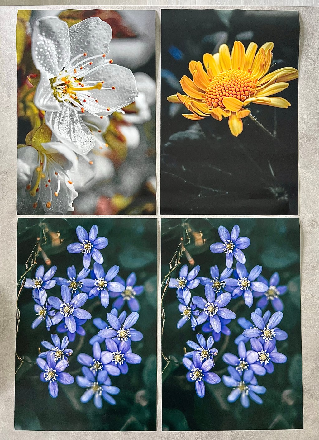 Spinnville priser 😊Bilder&nbsp;selges