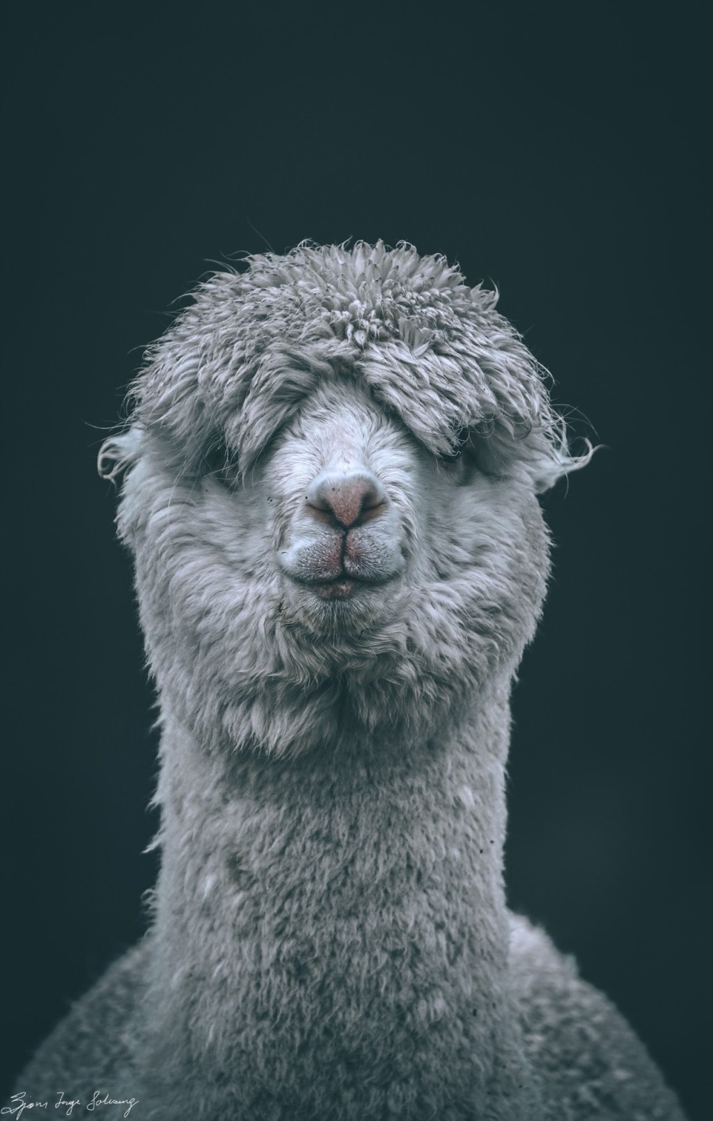 Prisliste på bilder