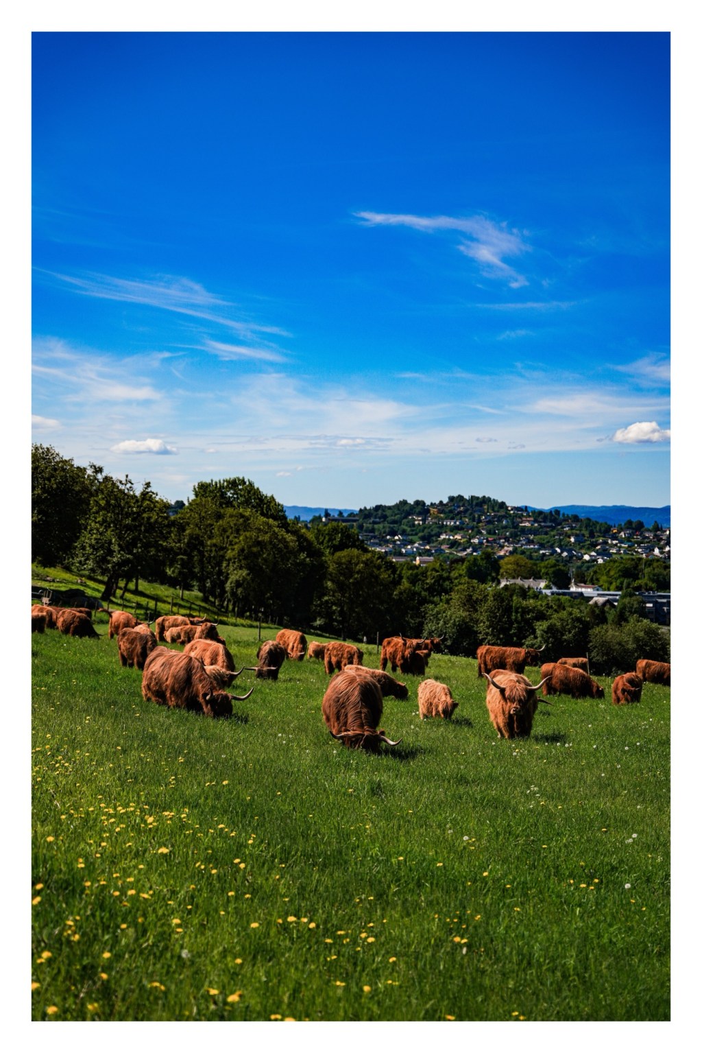 Test av Sigma&nbsp;24-70