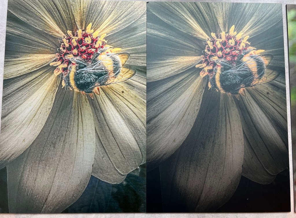 Viktigheten av piksler når man skal forstørre&nbsp;bilder