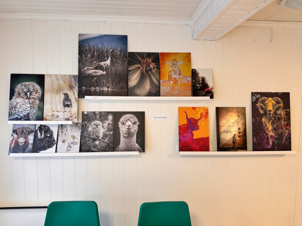 Salgsutstilling på Sofiegården