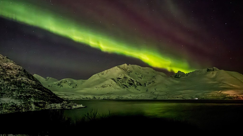 Skjervøytur – Februar&nbsp;2026